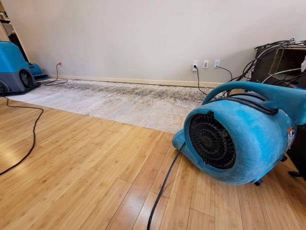 Professional Flood Damage Cleanup technician working in Chandler, AZ